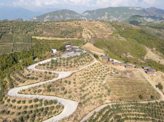 Aerial view of Solis Farm, an olive grove, restaurant, and cottages in a mountainous region of Albania.