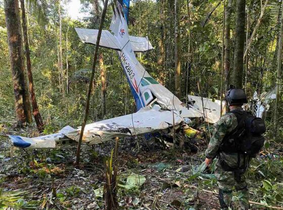 A soldier in camouflage stands near the wreckage of a plane in a dense forest.