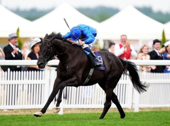 Rebel's Romance is set to take his chance in the King George