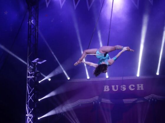 A female aerialist performing in a circus tent.