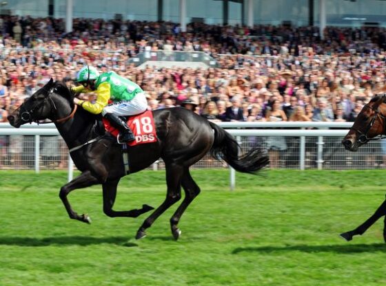 Wootton Bassett won all five starts as a two-year-old