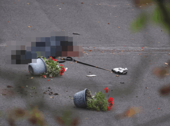 A person lying on the ground, partially blurred, next to two overturned flower pots with red flowers.