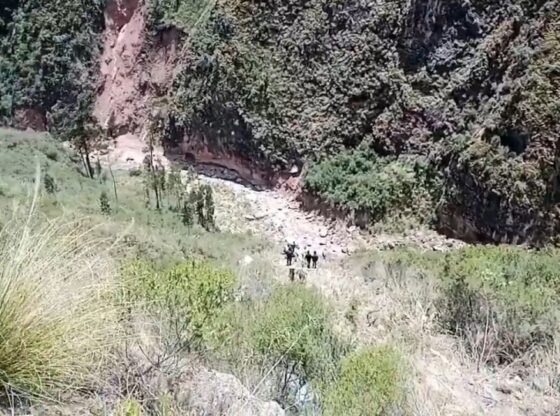 NINTCHDBPICT001034476995