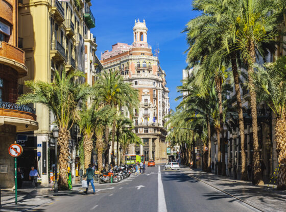 ¿arrer de les Barques street with palm trees on a sunny day in Valencia, Spain