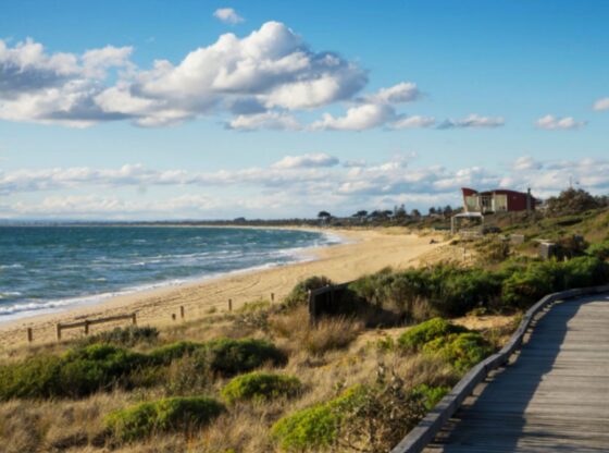 An image collage containing 1 images, Image 1 shows A wooden boardwalk curving along a sandy beach with the ocean to the left and green dunes to the right