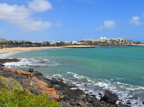 View of the Beach at Costa Teguise Lanzarote with Orange Flowers in the Forground.