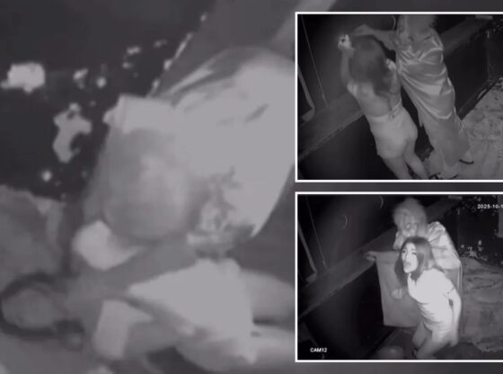 An image collage containing 3 images, Image 1 shows Monochrome photo of a woman being beaten and electroshocked, Image 2 shows Two individuals in light-colored clothing fighting, Image 3 shows Infrared CCTV footage of an employee in a fright mask and costume grabbing a woman