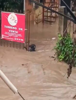 NINTCHDBPICT001030413852