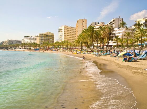 Resort beach in Marbella and Puerto Banús with palm trees, buildings, and people relaxing.