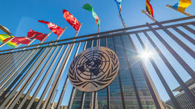 The UN has lost its balance. Can the world restore it?
