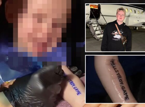 An image collage containing 3 images, Image 1 shows NINTCHDBPICT001033263623, Image 2 shows NINTCHDBPICT001033249925, Image 3 shows NINTCHDBPICT001033249953