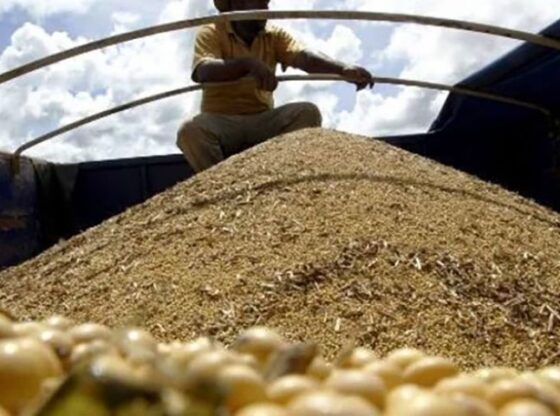 China’s embargo on American beans has created a seller’s market in South America. What would have been a glut from a bumper harvest has become a stockpile.