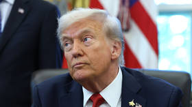 ‘She’s just a troublemaker’ – Trump on Thunberg’s arrest by Israel