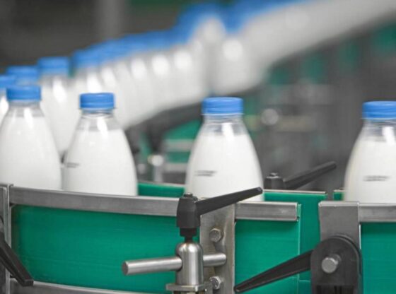 Archive image of some milk bottles