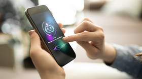 Dutch regulator issues AI election advice warning