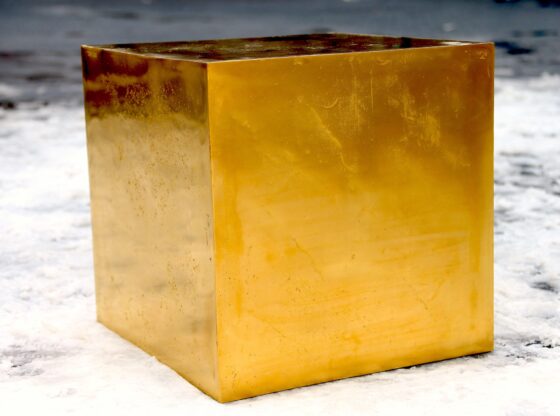 NINTCHDBPICT001034741118