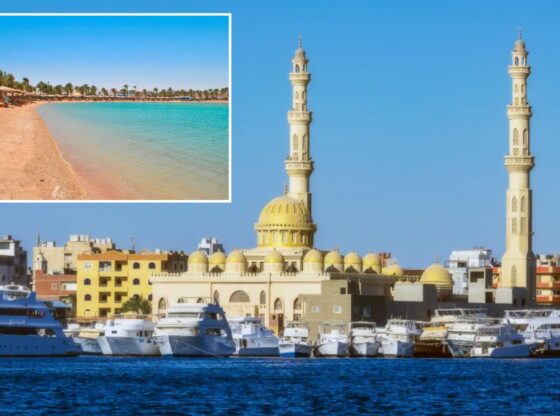 An image collage containing 1 images, Image 1 shows Golden beach in Hurghada, Egypt with palm trees and parasols lining the shore