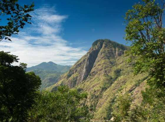 An image collage containing 1 images, Image 1 shows View of Ella Rock from path to Little Adam's Peak in Ella, Sri Lanka
