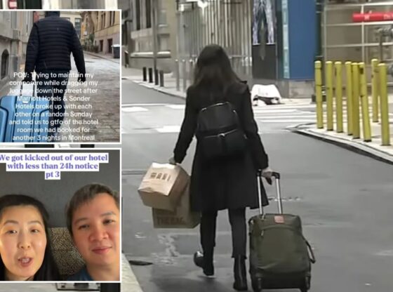 An image collage containing 3 images, Image 1 shows NINTCHDBPICT001037942965, Image 2 shows NINTCHDBPICT001037941675, Image 3 shows NINTCHDBPICT001037941688