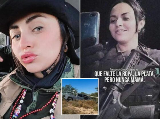 An image collage containing 3 images, Image 1 shows NINTCHDBPICT001037585303, Image 2 shows NINTCHDBPICT001037585297, Image 3 shows NINTCHDBPICT001037585277