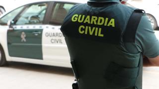 A Civil Guard agent, with his back turned, next to an official vehicle. Civil Guard